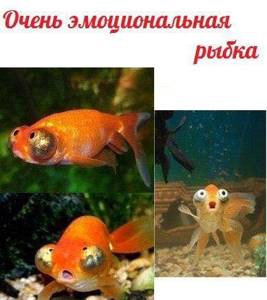 Для Поднятия Настроения - 3