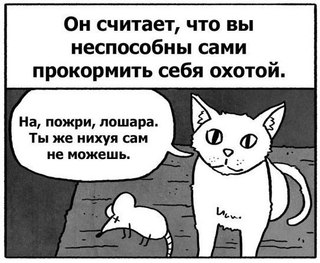 Как отучить кота тащить добычу в дом?