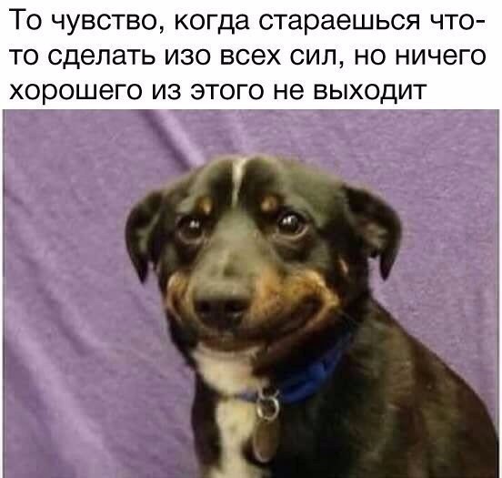 Мохнатые беспредельщики