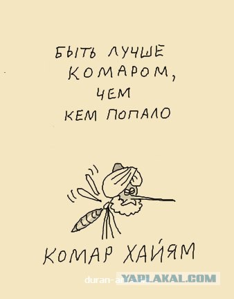 Процесс высасывания крови комаром сняли на видео