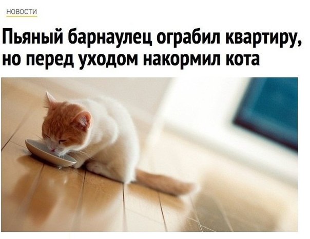 Весёлые картинки