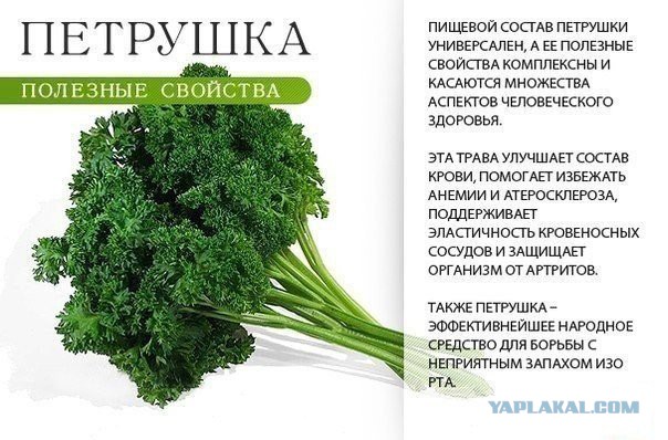 Долина царей. Восточный Казахстан.