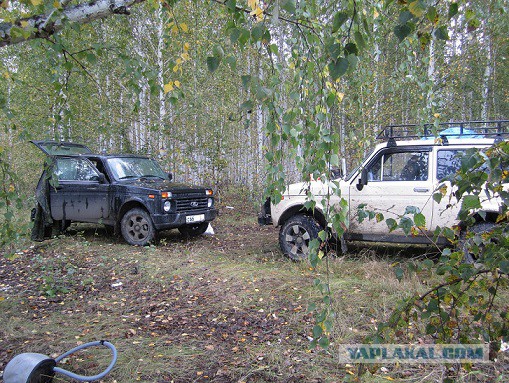 Кратский обзор Нивы