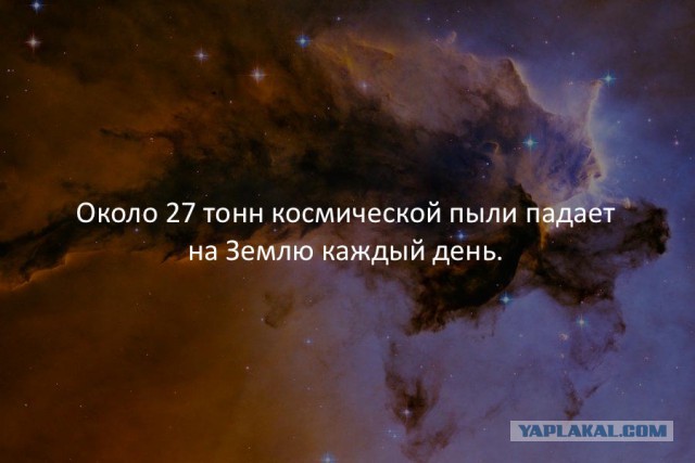 40 фактов в картинках