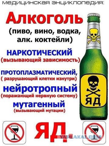 Почему нужно пить пиво: ученые признали его самым полезным в мире напитком!