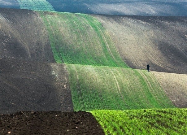 Фото интересные и не только