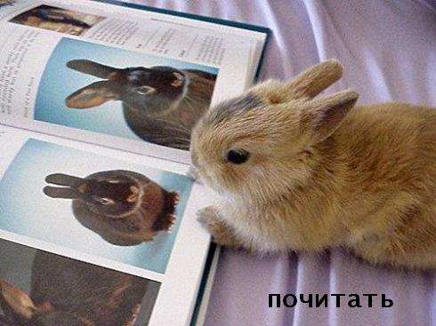 С ПЯТНИЦЕЙ!