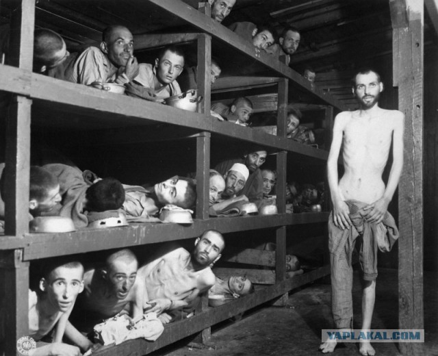 Сухие факты и говорящие фотографии
