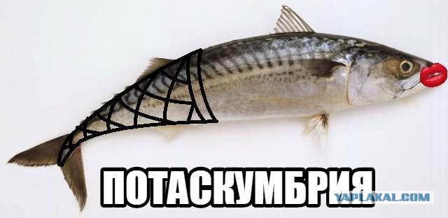Немного деграданса - 7