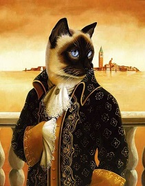 Кот устроил треш