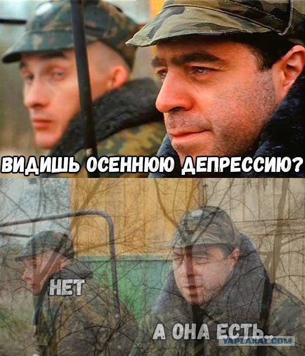 Приколы на любые темы