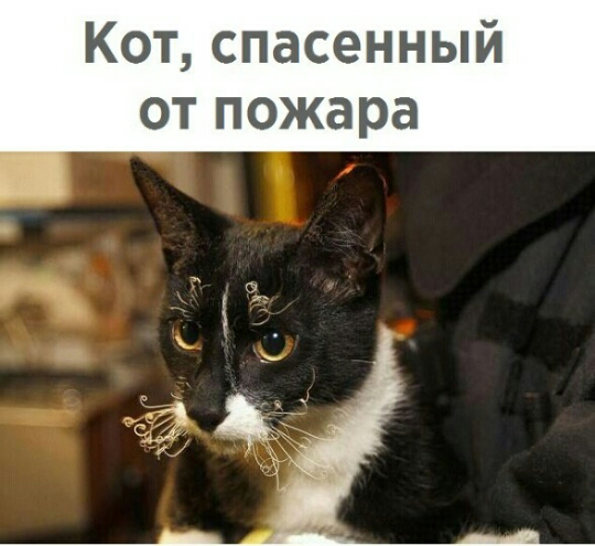 Тупанём?
