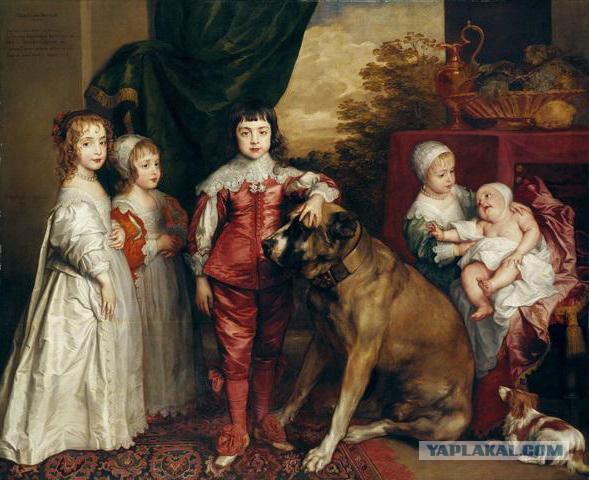 8 исчезнувших пород собак, которых не осталось даже на фотографиях