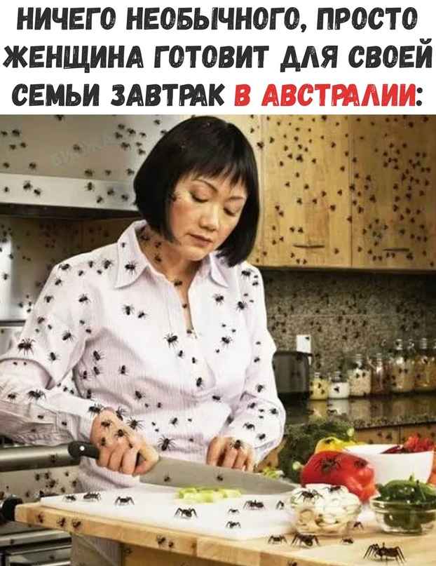 Специфический юмор
