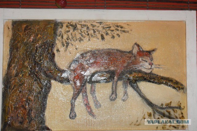 Котовторник! 08.11.11