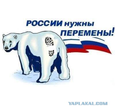 «Привет, россияне! Как вам подарки? Как цены в магазинах? Валежник собираете?»