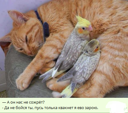 Как-то всё в кучу