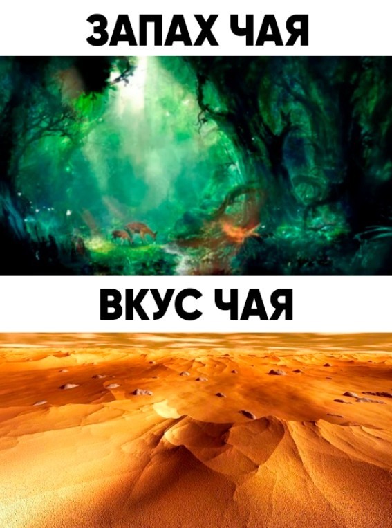 Картинки с надписями, истории и анекдоты 15.10.19