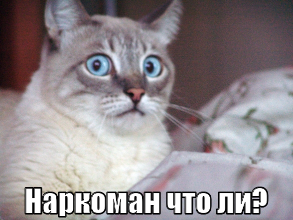 Что сейчас происходит?
