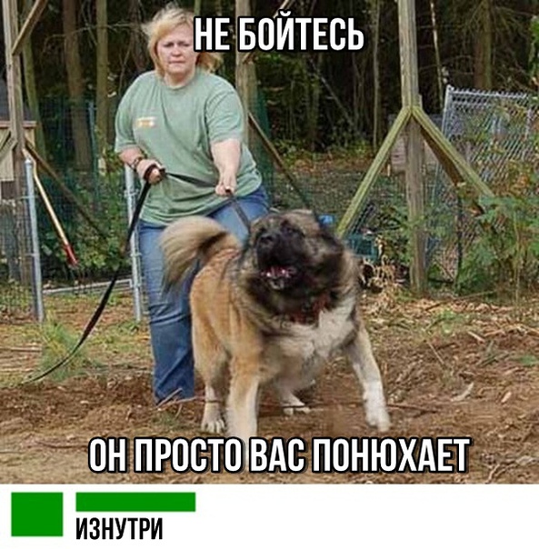 Картинок немного 25.12.19