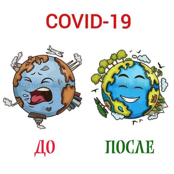 14158680.jpg