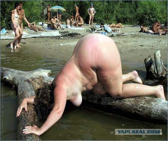 Фотожаба: Скоро лето 2008 !