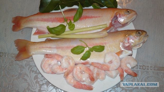 Кулинария: Камчатская семга на кедровой дощечке.