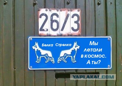 Фотожаба: Я Табличка