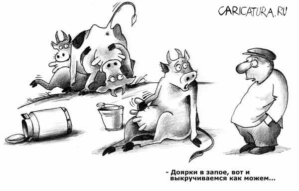 Мужчины сами виноваты в низком качестве современных женщин!
