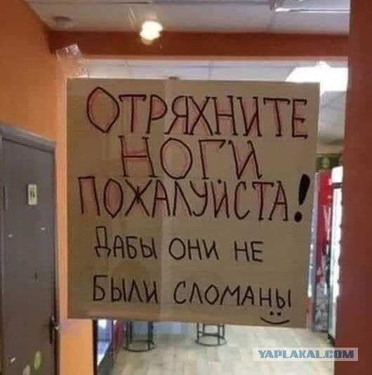 ДНК в законе. Защитим права мужчин и дадим вырастить СВОЕГО ребенка