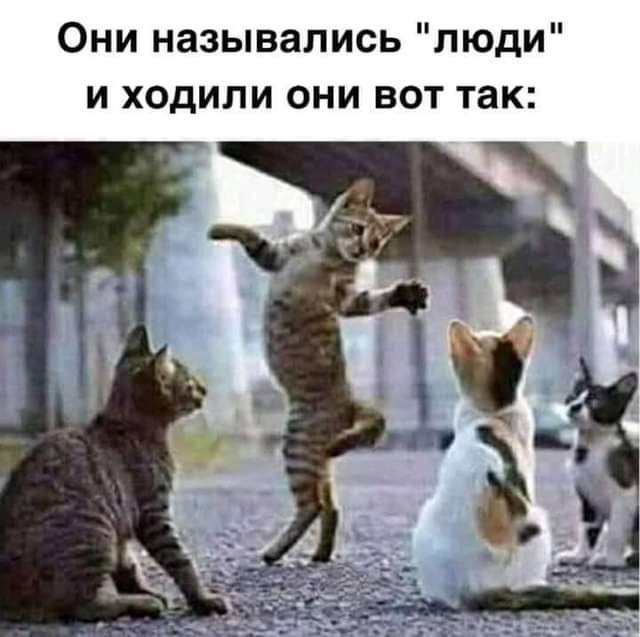 Бредзона 23.08.20