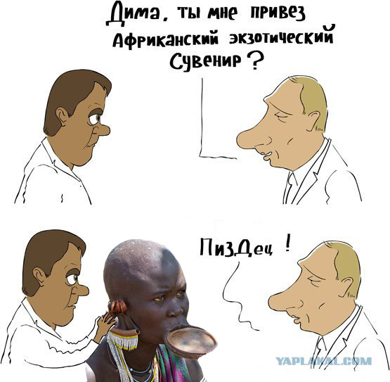 Экзотический сувенир
