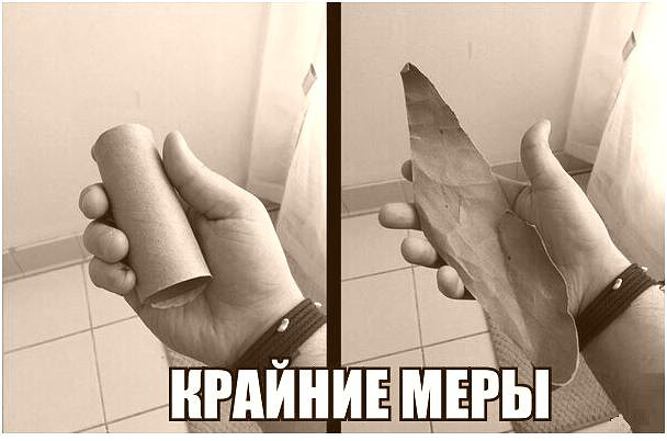 Фотки и картинки: юморные и красивые, забавные и милые 14.09.20