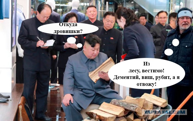 Дровишки в баню или "Гоблин" Пучков попал на фотожабу