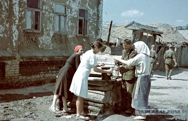 Пили бы баварское, говорите?