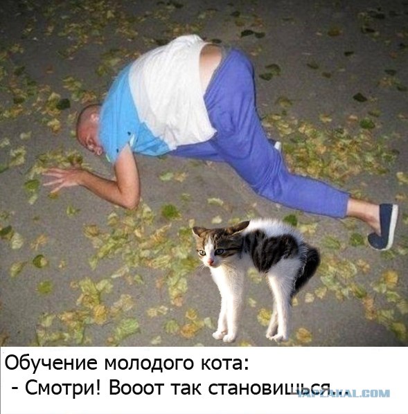 Фотожаба: ...как будто он не пьяный