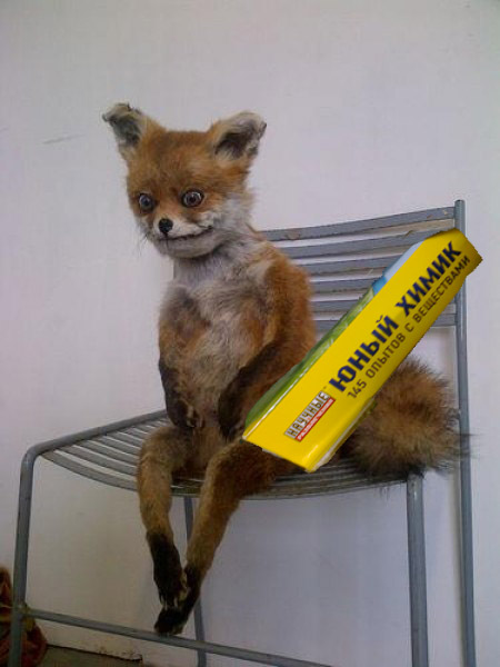 Таксидермия + наркомания