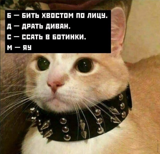 Добрые картинки 28.11.20