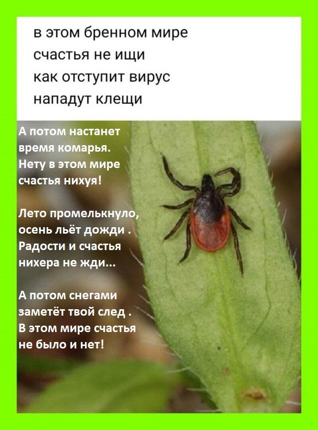 Баянисто-небаянистый юмор. 28.04.21
