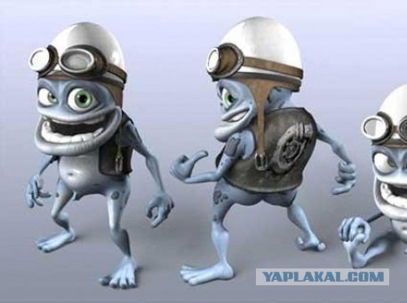 Необычная лягушка, Rain frog