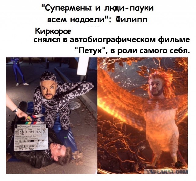 Весёлый полтишок 26.09