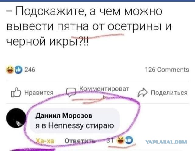 Картинки - не картинки. Смешные - не смешные 2