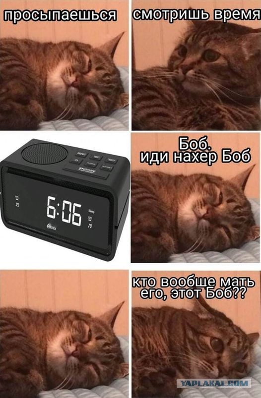 Картинки всяческие 10.01.2022