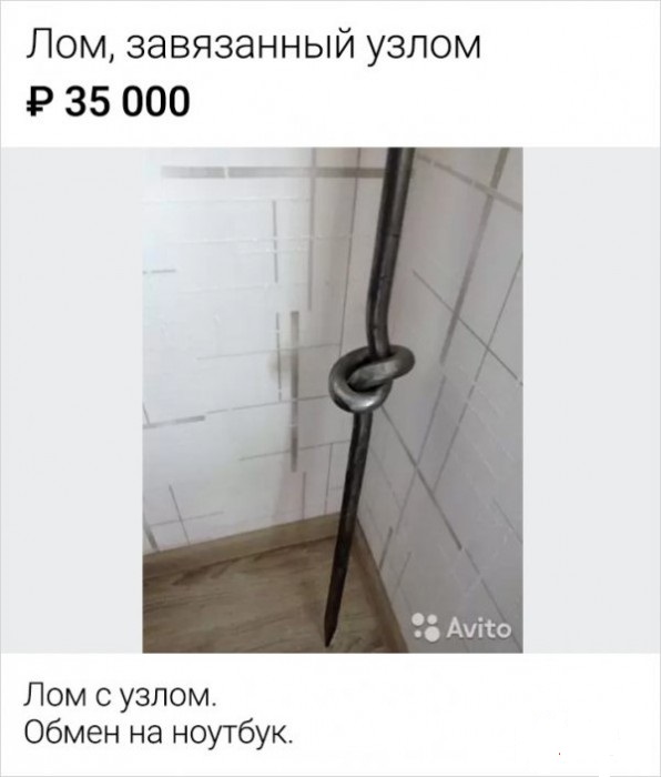 Забавные шутки, фразы, картинки из этих ваших интернетов