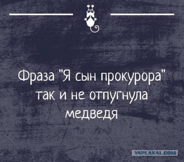 50 оттенков серого или самосвал баянов. Vol. 18. 50 штук.