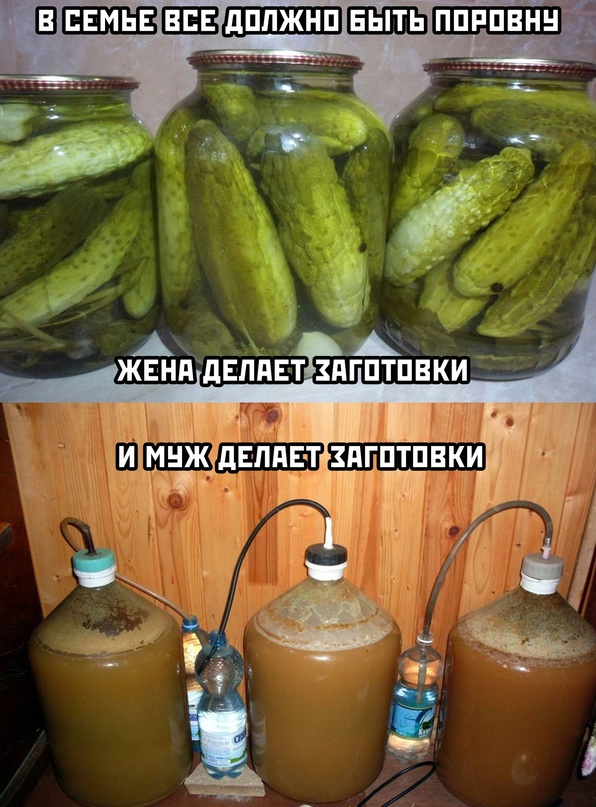 Картинки и мемы для настроения - 009