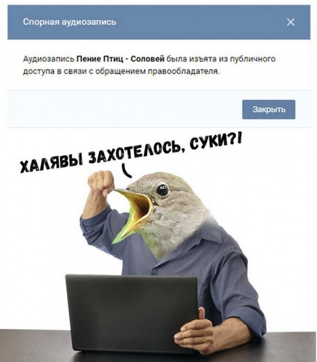 Картинки и мемы. Выходные близко...