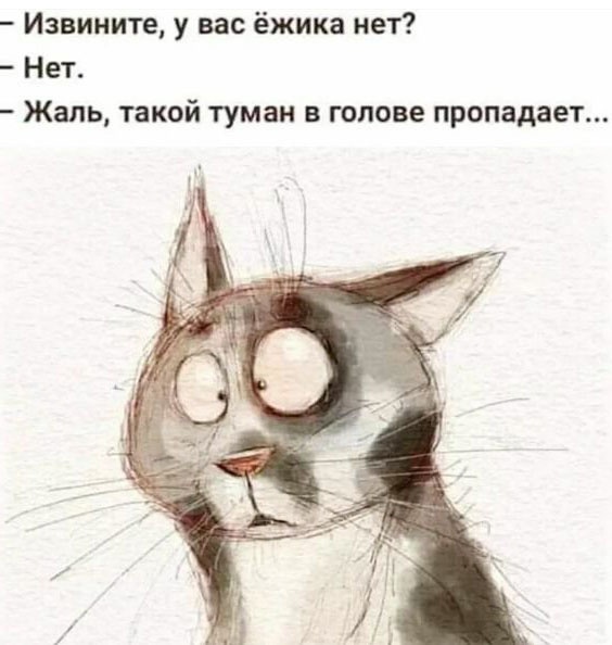 Так себе картинки 27.11.22