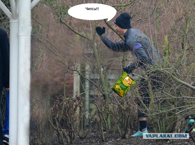 Аршавин навестил сборную