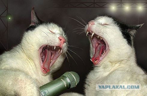 В точку!
